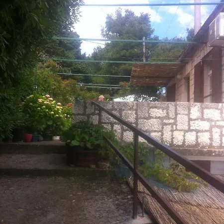 Skrivaneli *