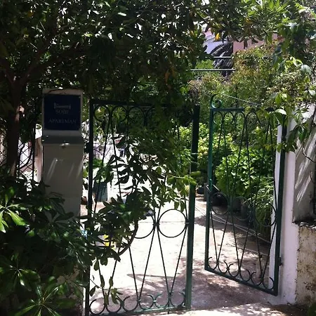 Skrivaneli * Jelsa (Hvar)