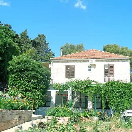 Skrivaneli * ييلسا