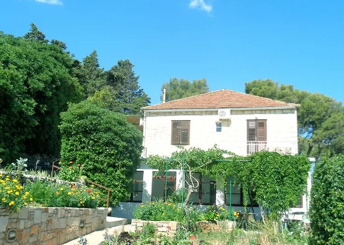 Skrivaneli * ييلسا