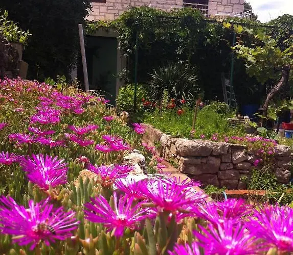 Skrivaneli ييلسا